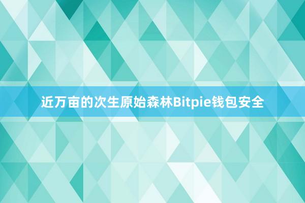 近万亩的次生原始森林Bitpie钱包安全