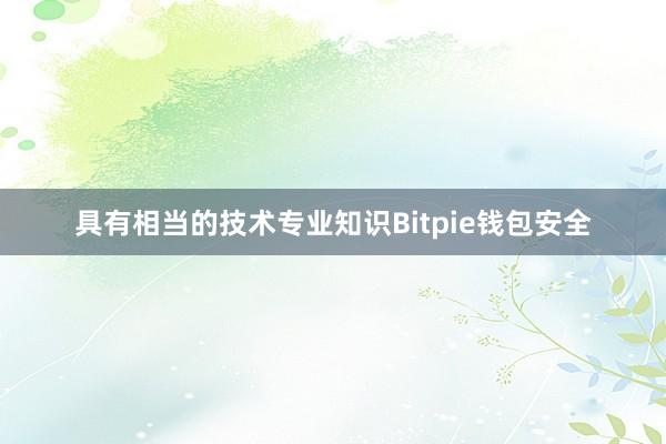 具有相当的技术专业知识Bitpie钱包安全