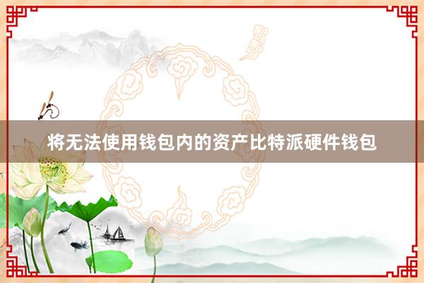 将无法使用钱包内的资产比特派硬件钱包