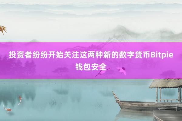 投资者纷纷开始关注这两种新的数字货币Bitpie钱包安全