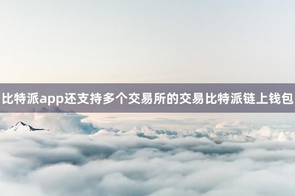 比特派app还支持多个交易所的交易比特派链上钱包