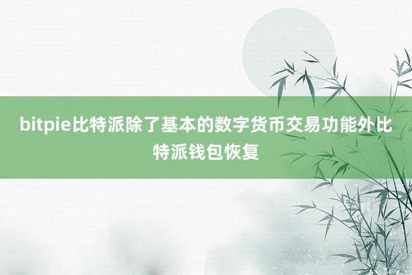 bitpie比特派除了基本的数字货币交易功能外比特派钱包恢复