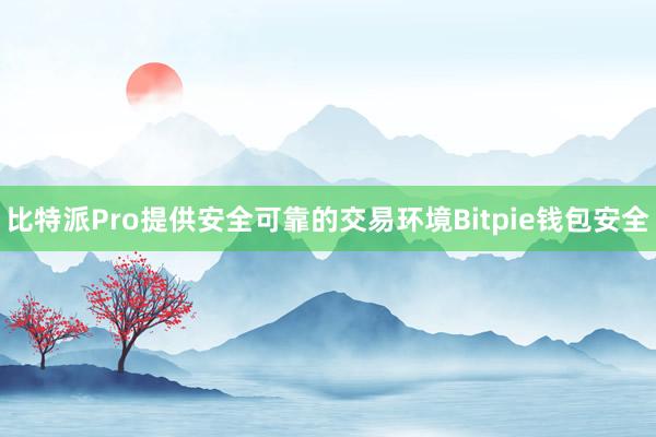 比特派Pro提供安全可靠的交易环境Bitpie钱包安全