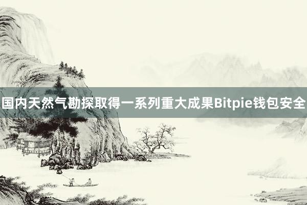 国内天然气勘探取得一系列重大成果Bitpie钱包安全