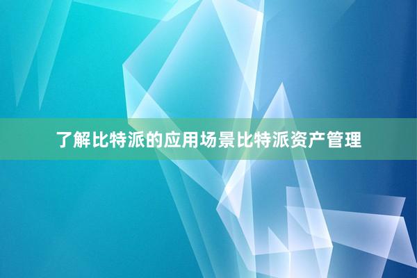 了解比特派的应用场景比特派资产管理