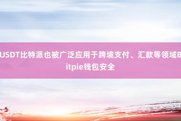 USDT比特派也被广泛应用于跨境支付、汇款等领域Bitpie钱包安全