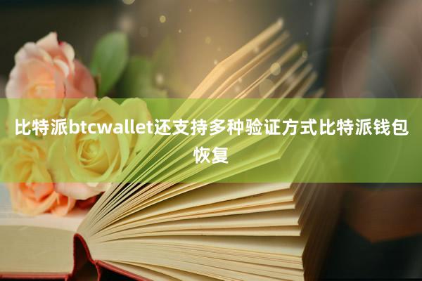 比特派btcwallet还支持多种验证方式比特派钱包恢复