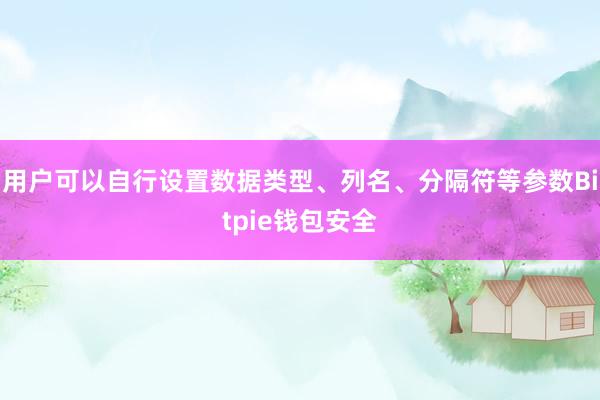 用户可以自行设置数据类型、列名、分隔符等参数Bitpie钱包安全