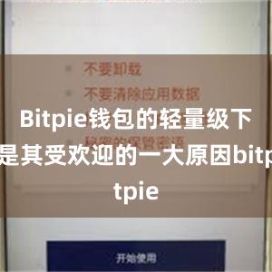 Bitpie钱包的轻量级下载是其受欢迎的一大原因bitpie