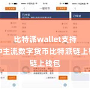 比特派wallet支持多种主流数字货币比特派链上钱包