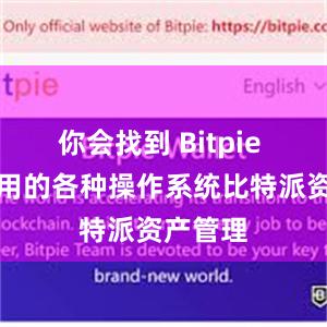 你会找到 Bitpie 钱包适用的各种操作系统比特派资产管理