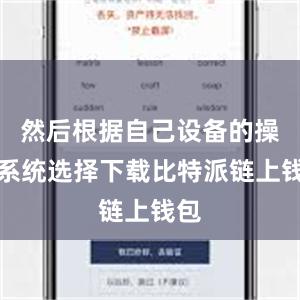 然后根据自己设备的操作系统选择下载比特派链上钱包